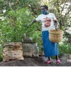 Les Africains en première ligne face à la crise de la biodiversité
