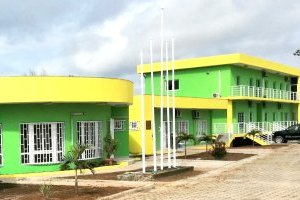 Panthères du Gabon&nbsp;: Plus de 600 candidatures enregistrées pour l’après Mouyouma