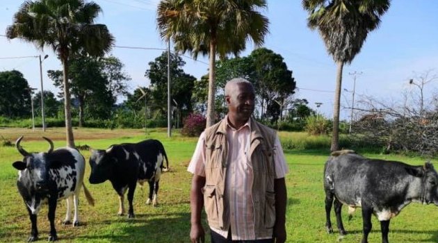 Salaires publics&nbsp;: l’inévitable ajustement en perspective au Gabon