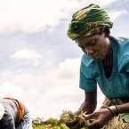 Le monde n’est pas en voie d’atteindre l’objectif «&nbsp;Faim zéro&nbsp;» d’ici à 2030