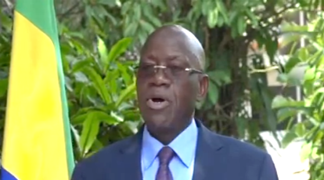 11e Journée nationale du drapeau&nbsp;: discours du ministre de la Culture