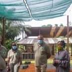 Journée mondiale de l’environnement&nbsp;: visite de l’Arboretum Raponda Walker