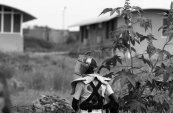 Casques bleus : l’ONU célèbre un héritage en quête d’avenir