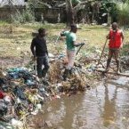 Un fonds de solidarité Covid-19 doté de plus 250 milliards, combien pour le paludisme qui tue chaque jour ?