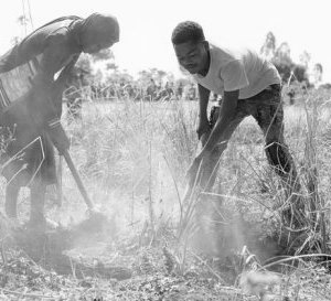 Afrique australe : des millions de personnes menacées par la faim alors que la période de soudure démarre