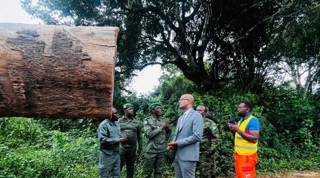 Forêt : le ministre Maurice Ntossui Allogo intensifie les contrôles sur le terrain
