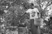 Les Africains en première ligne face à la crise de la biodiversité