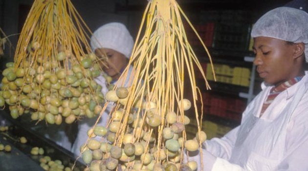 Les économies africaines menacées par la crise du Covid-19