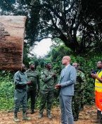 Forêt : le ministre Maurice Ntossui Allogo intensifie les contrôles sur le terrain