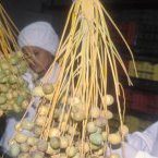 Les économies africaines menacées par la crise du Covid-19