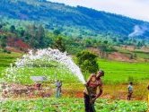 Les économies africaines enclavées ont des atouts pour contribuer à la prospérité du continent