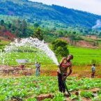 Les économies africaines enclavées ont des atouts pour contribuer à la prospérité du continent
