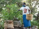Les Africains en première ligne face à la crise de la biodiversité